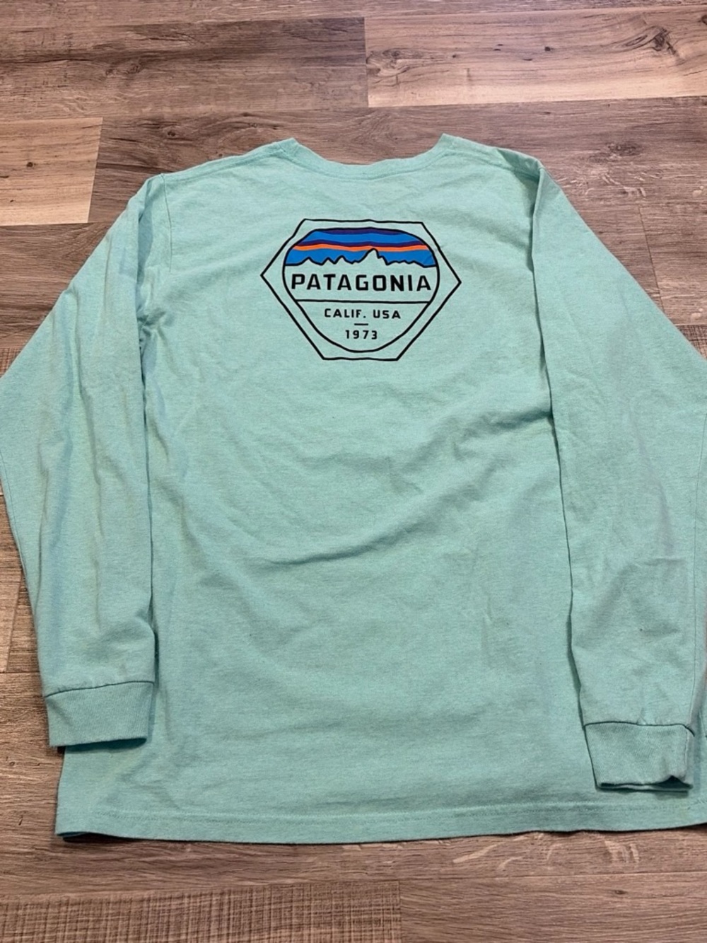 Patagonia team long Sleeve Logo Tee